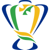 Copa do Brasil
