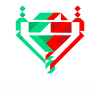 Taça de Portugal logo