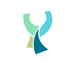 Turkish Super Cup logo