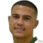 Vinícius Baracioli