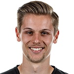 D. Mesenholer