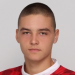 N. Djekovic