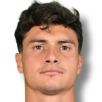 V. Mantovani