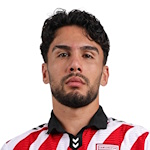 P. Yaldir