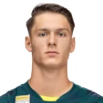 S. Hamzic