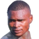 N. S. Dlamini