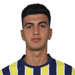 Y. E. Demir