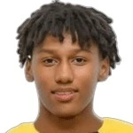 Y. Al Jaber
