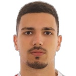 S. Tesic