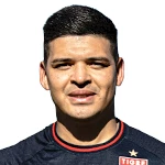 F. Alvarez