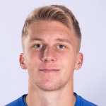 H. Hajdarevic